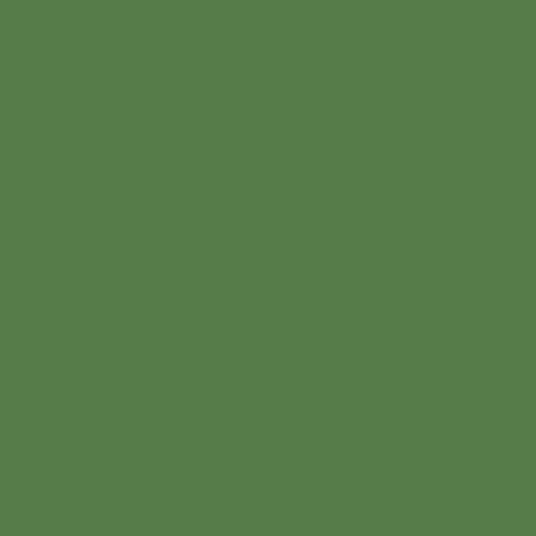 Tufting Pure Wool Kreoho® - Forest Moss 500g