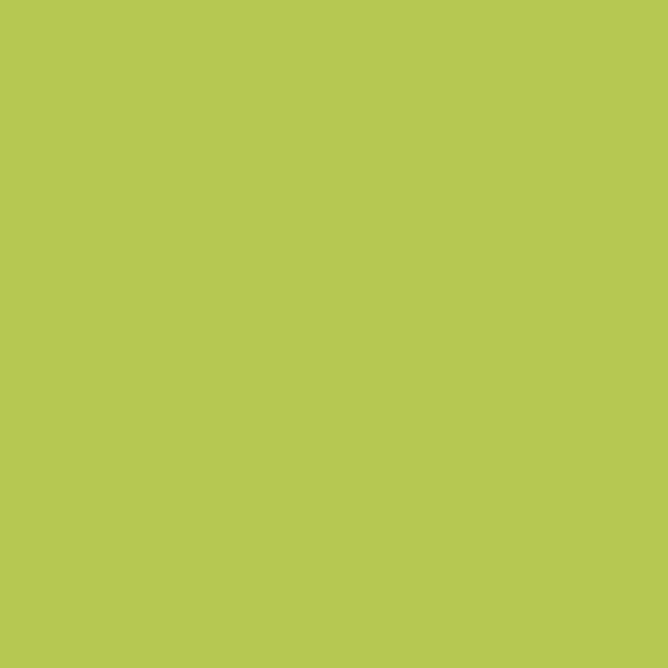 Tufting Pure Wool Kreoho® - Lime Punch 500g