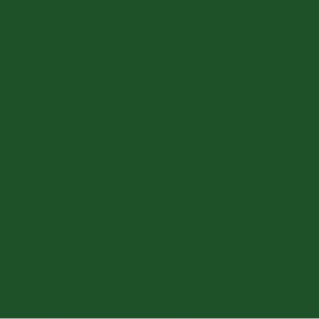 Tufting Supreme Acrylic Kreoho® - Formal Garden 250g