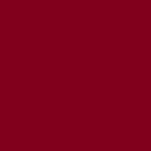 Tufting Pure Acrylic Kreoho® - Barbados Cherry 400g