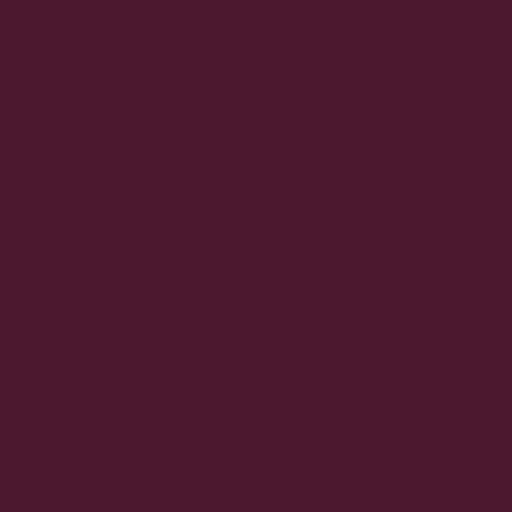Tufting Pure Acrylic Kreoho® - Dark Maroon 400g
