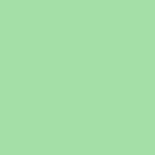 Tufting Pure Acrylic Kreoho® - Mint Green 400g