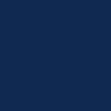 Tufting Pure Wool Kreoho® - Navy Peony 500g